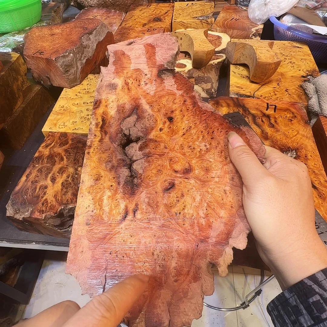 小叶羊蹄甲老料瘤疤料