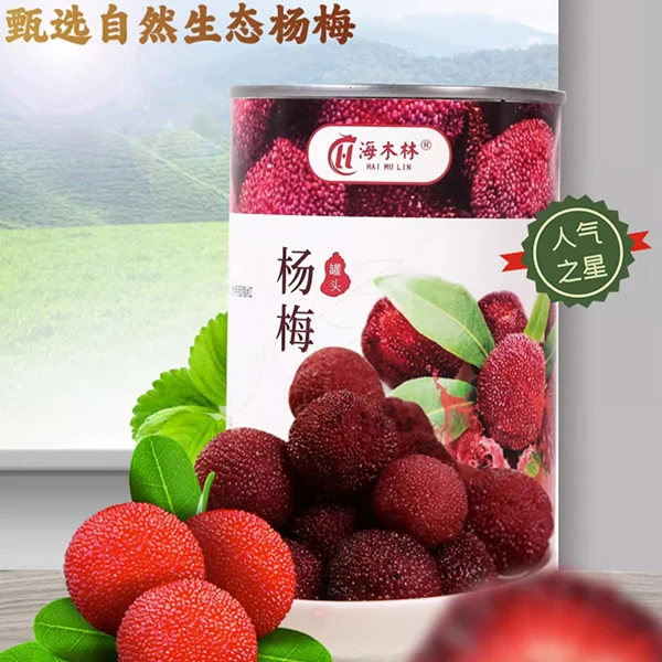 海木林杨梅罐头425g正宗整箱糖水水果罐头砀山特产水果捞美味零食