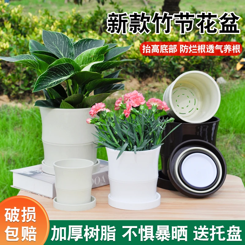 简约中国风创意竹节树脂环保加厚透气红掌文竹花盆桌面办公居家