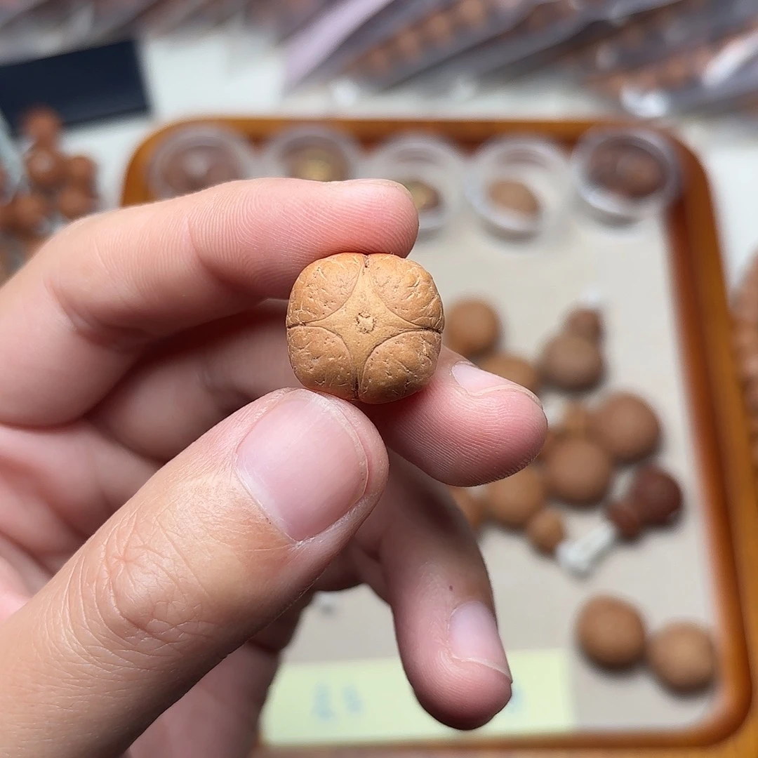 ****c凤眼菩提手串麒麟三通