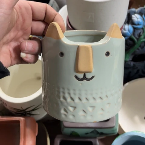 ［所有订单凑满15包邮］10×10