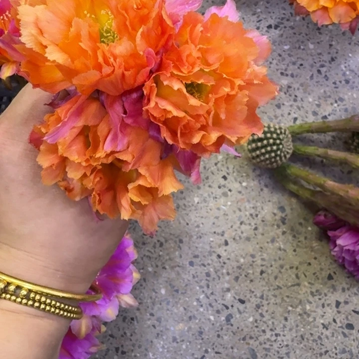 224彩草江南13歪无根侧牙4公分左右，20包邮