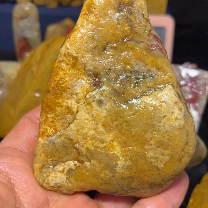 金***瑞昌化石国石昌化石