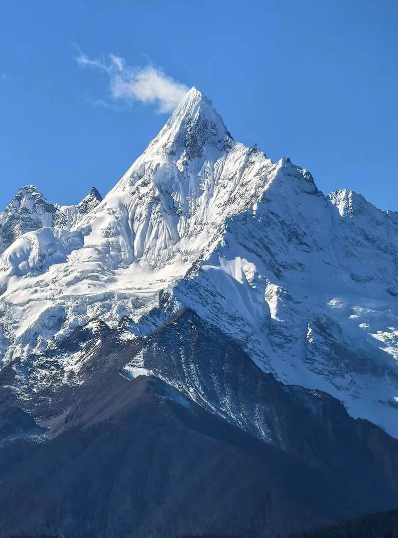 2025新款【暗黑镂空系列】90白鸭绒羽绒服设计款充绒量300克↑[LG1]