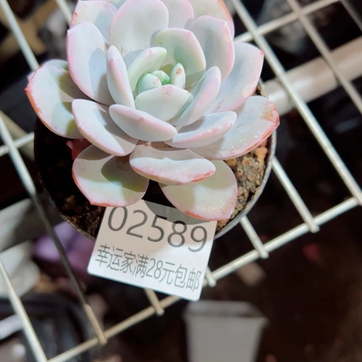 一***家幸运的是你还没遇到你