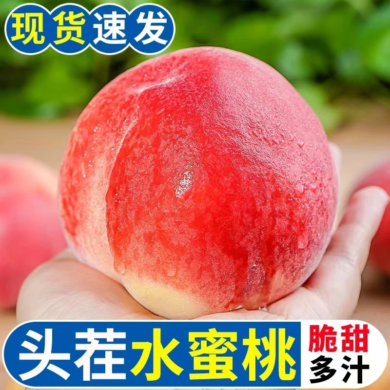 【脆甜】山西脆蜜桃红不软新鲜毛桃脆甜多汁现摘现发