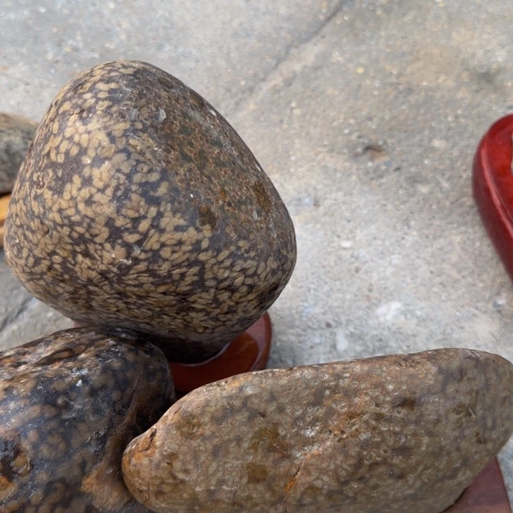 逆***袭益茶堂祝您生活愉快