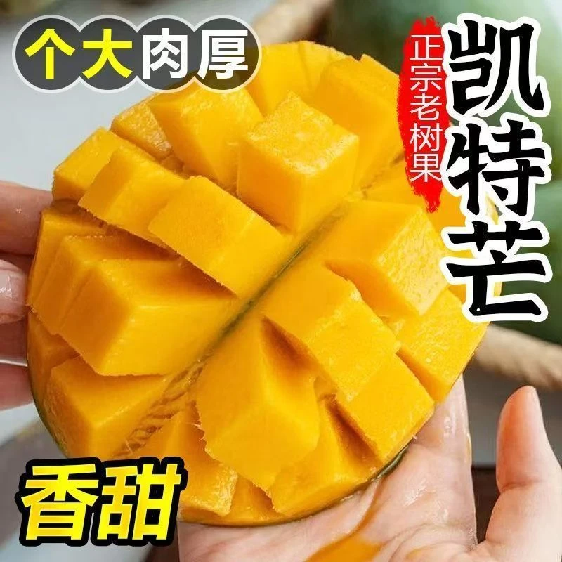 【坏果包赔】攀枝花凯特芒带箱5斤大果400g+到手3-6个催熟食用