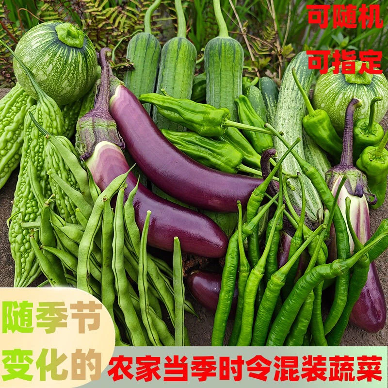 赶集现买农家菜白菜青菜辣椒 叶子菜