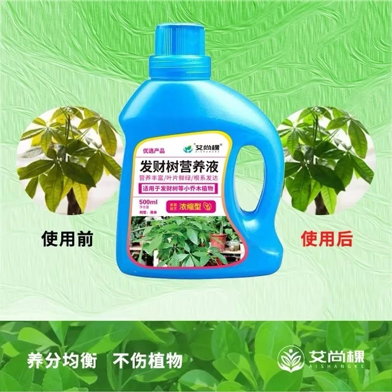 【浓缩大容量】发财树营养液植物营养液治黄叶焦尖起斑烂根催根绿叶