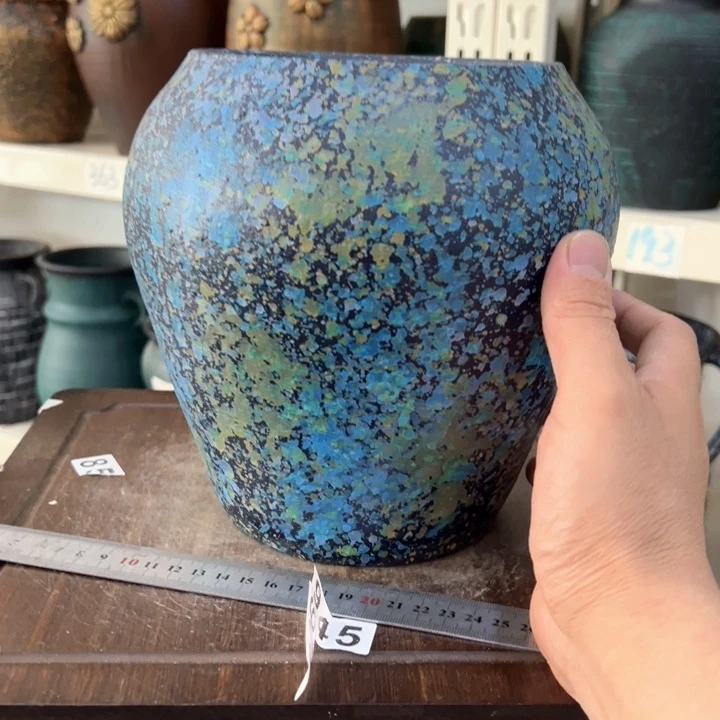 16.8-1微瑕龙蛋兰