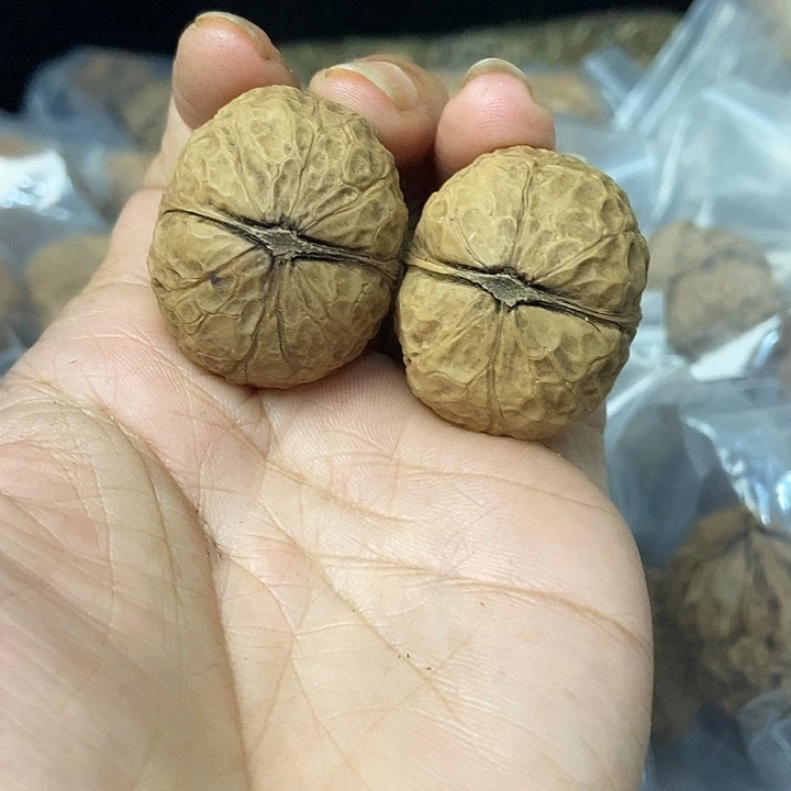 文玩核桃把件云南铁核桃基地60