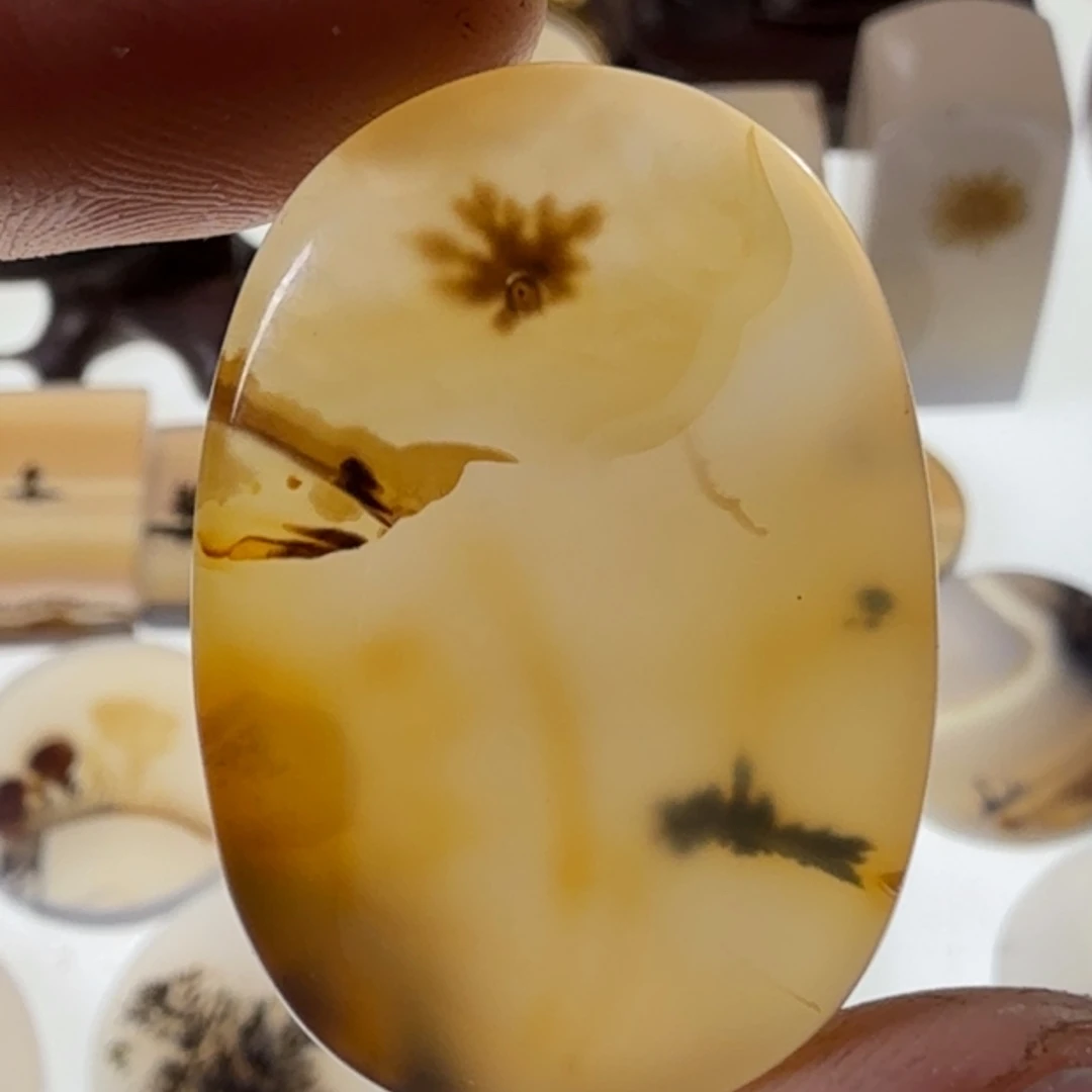 玛瑙/玉髓未镶嵌珠宝半成品