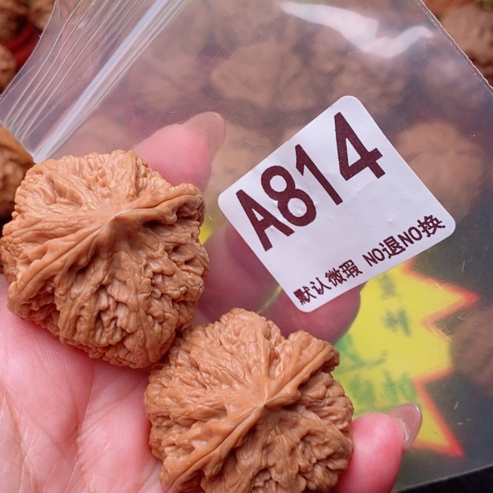 粗筋41尺814号瑕疵