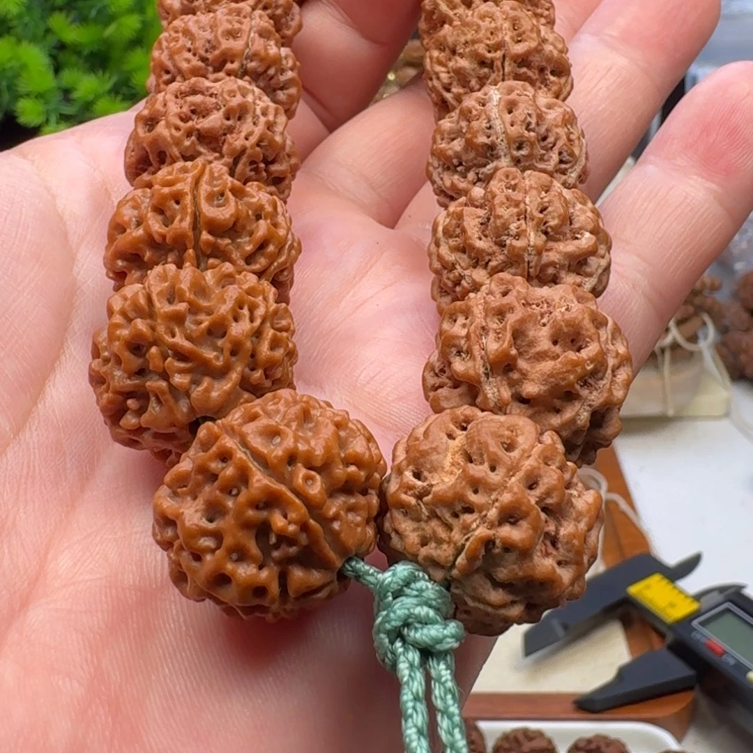 手串金刚菩提五星蜂王