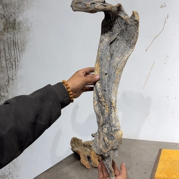 柏***境柏木崖柏等自然景和人文环境为主