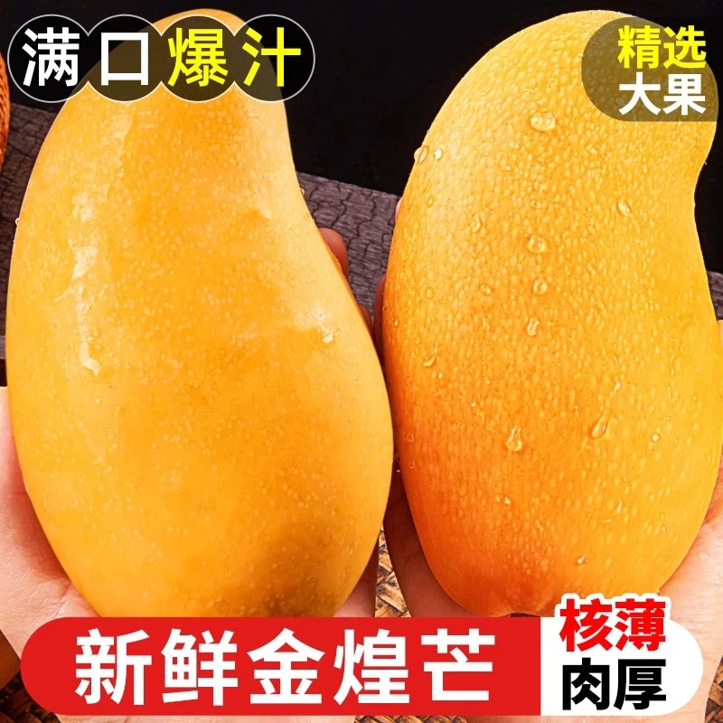 【青黄皮随机发】广西黄皮金煌芒大青芒带箱9-10斤生熟两吃放软更甜