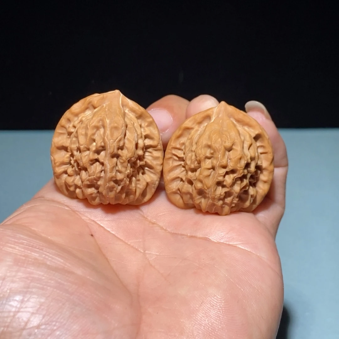 核桃35尺全品白蛇骨