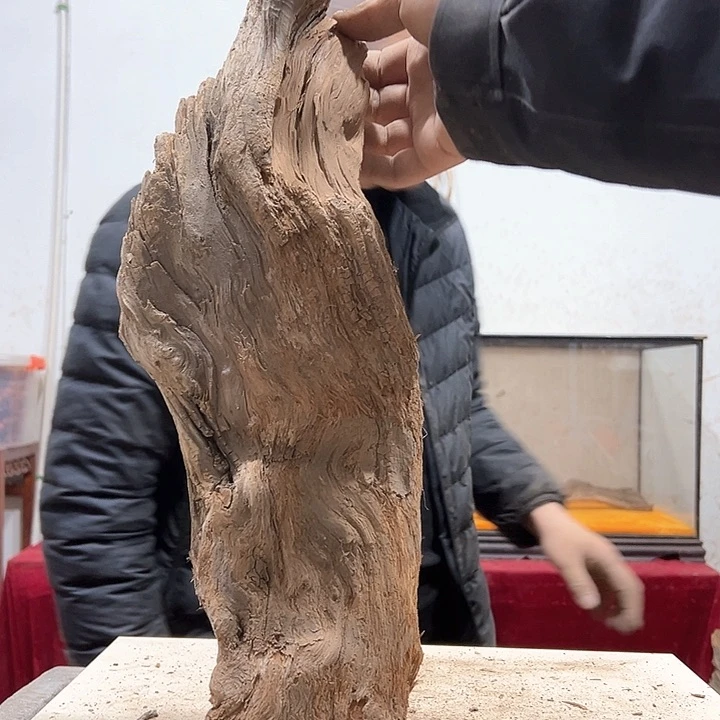 柏木古**香我们都是好孩子啊我