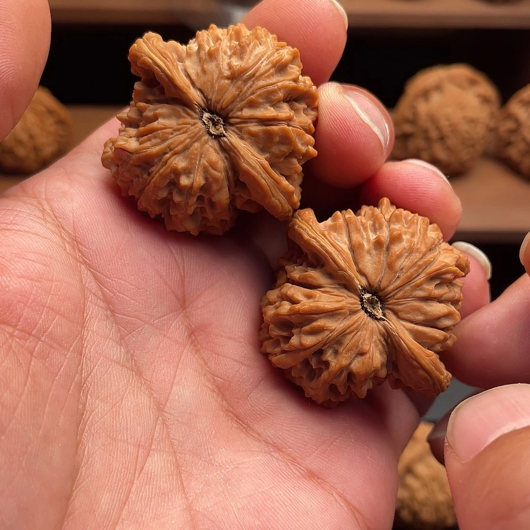 3***ˢ吊坠文玩核桃血珊瑚