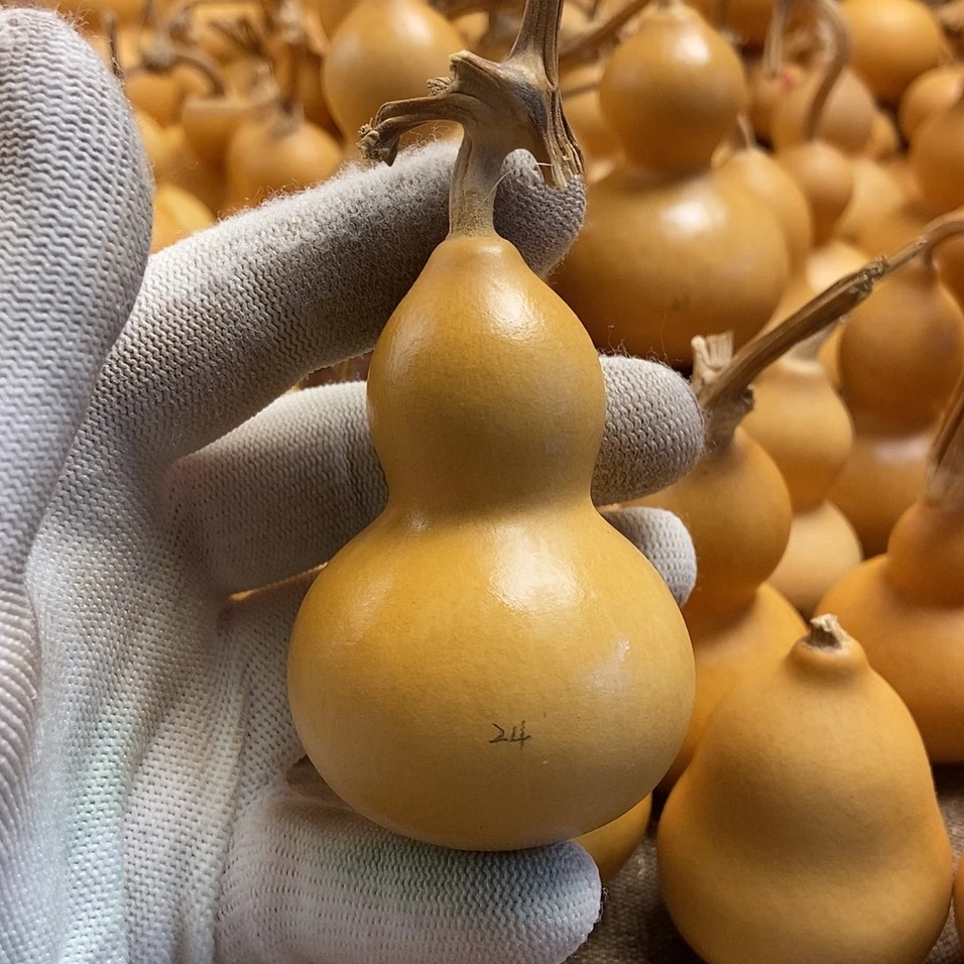 文玩葫芦 完美主义者 慎拍24