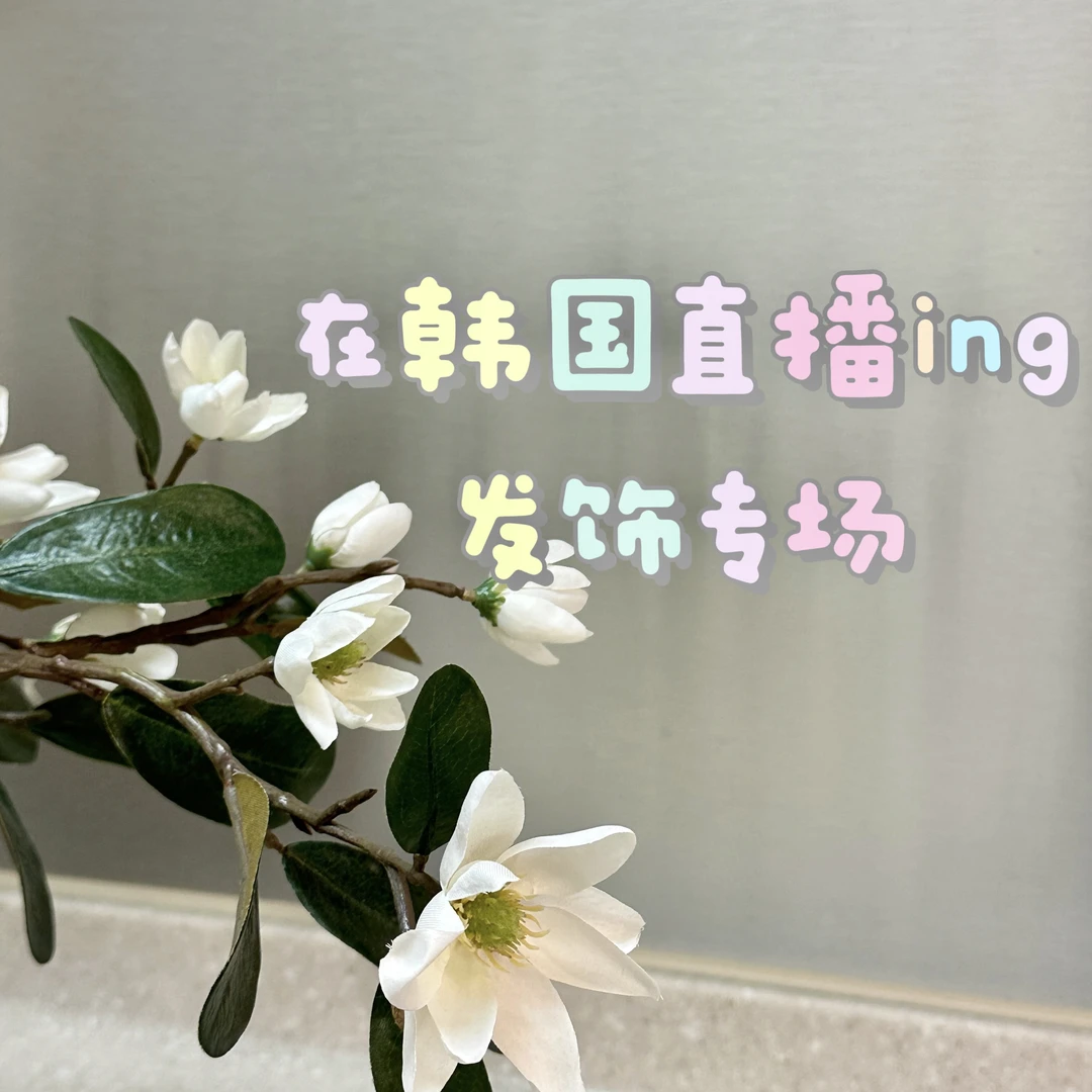 【201-400】超可爱韩国发饰（no退换）