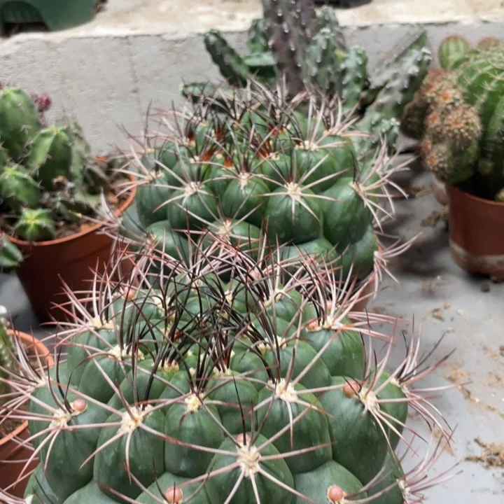 超大新天地实生一个