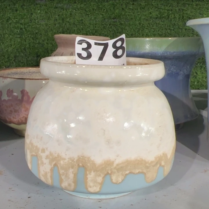 特价花盆 满50发货 内口8