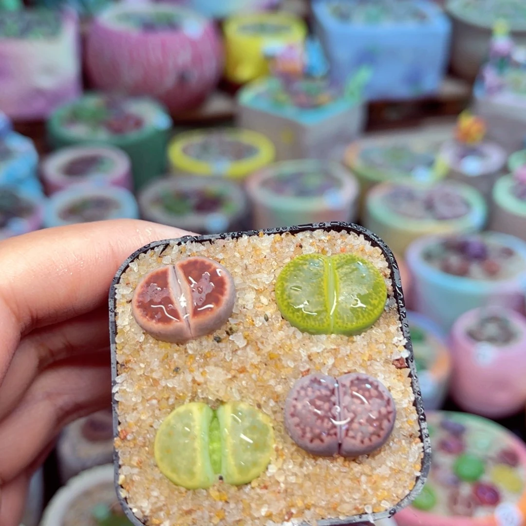 982 8888888888888888