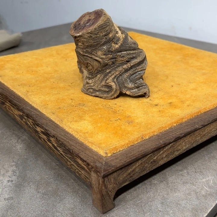 快***仙柏木（崖柏）崖柏等自然景区的生态环境