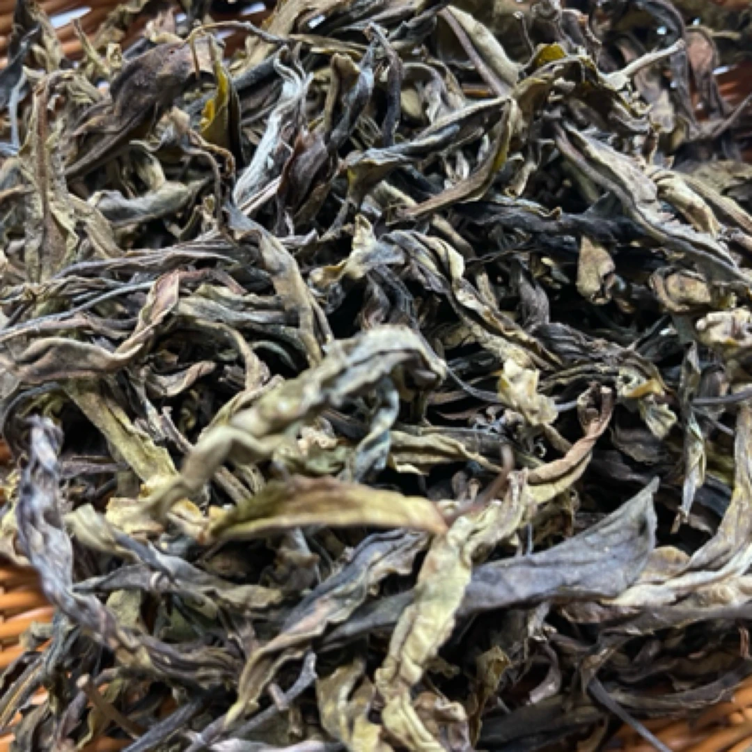 2024年易武片区名山高杆黄金叶生茶龙珠