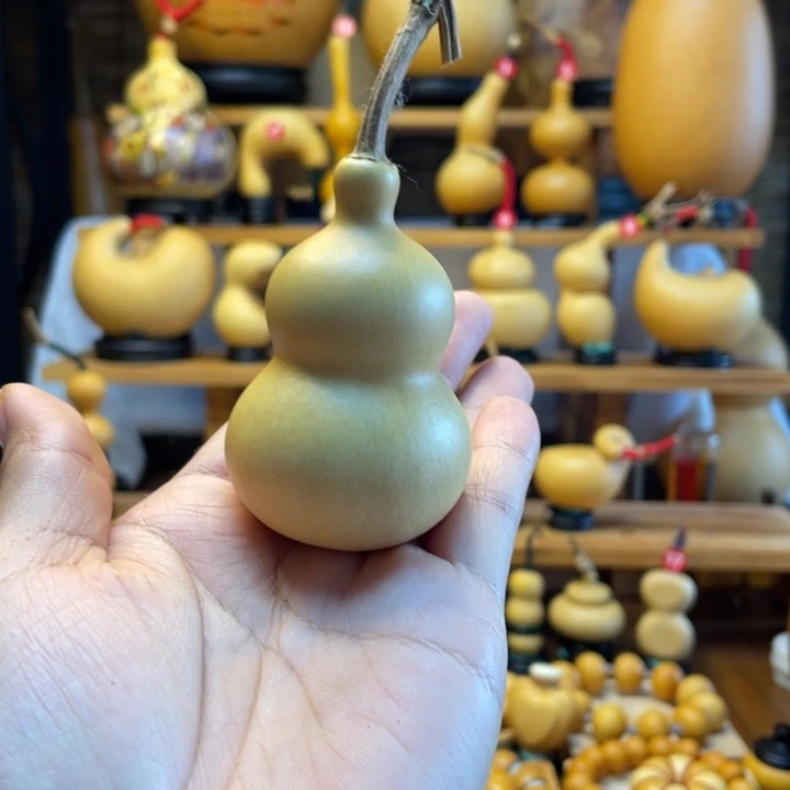 星***～天然葫芦自然生长