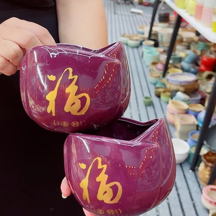 多肉植物陶瓷花盆