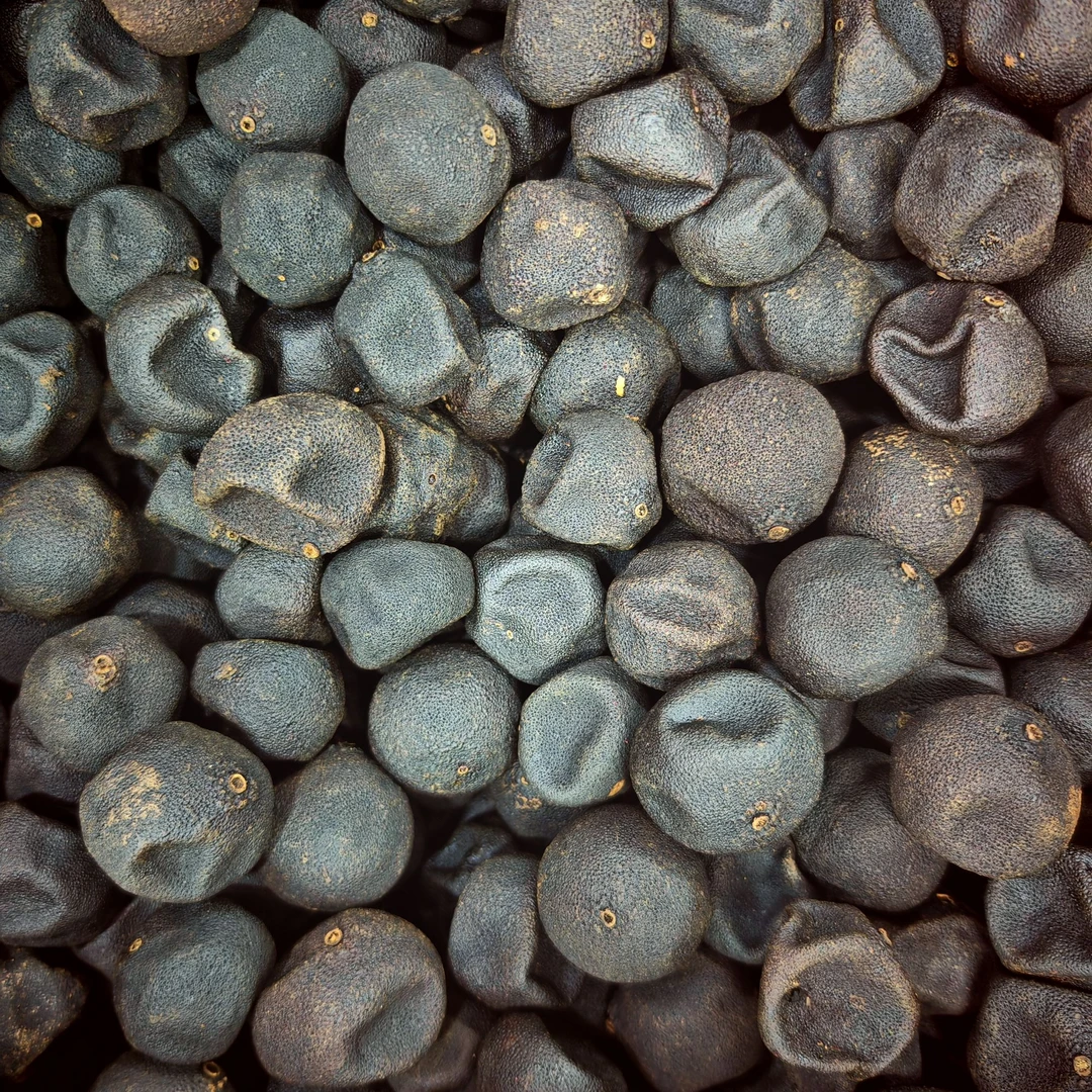 【周生专属】1996东甲牛比围 天果原瓮 原枝