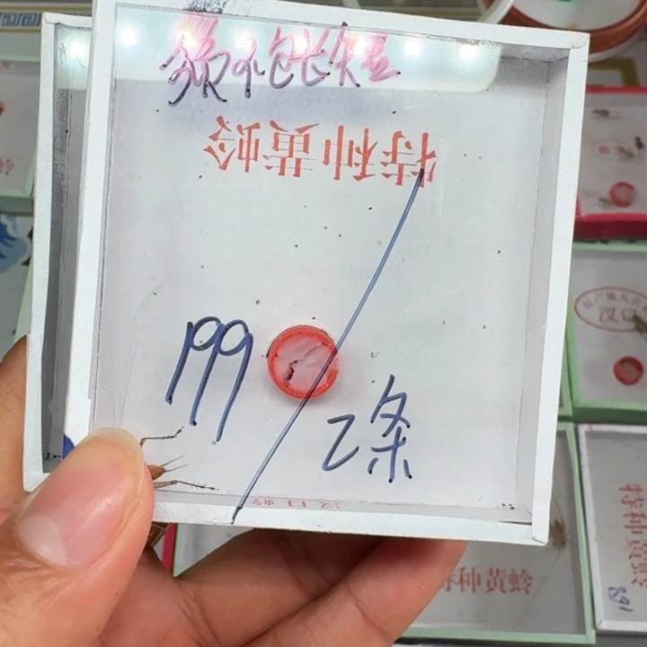 上***勒蟋蟀蝈蝈我在外面111111