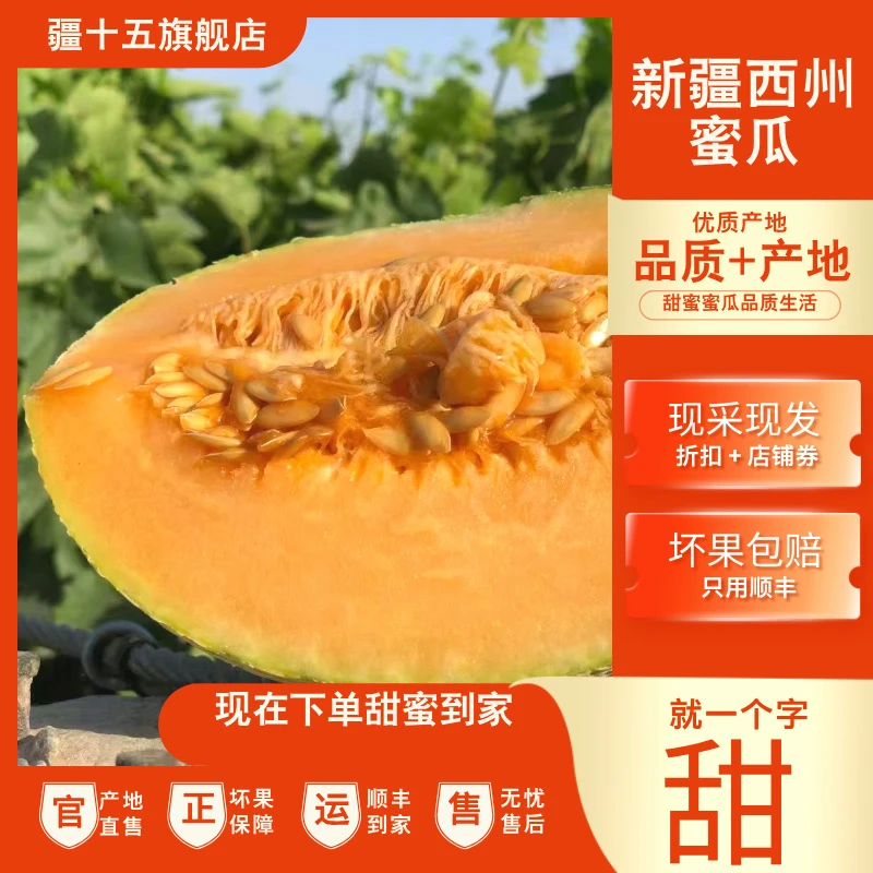 【疆十五】（顺丰发坏果包赔） 精品西州蜜新疆火焰爆甜蜜瓜香甜多汁