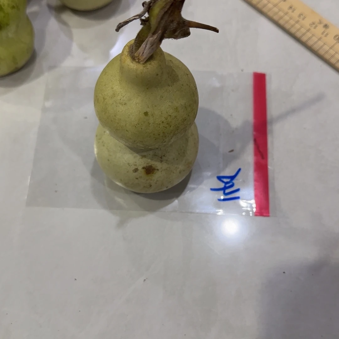 小***洋青皮不包成青皮不包成