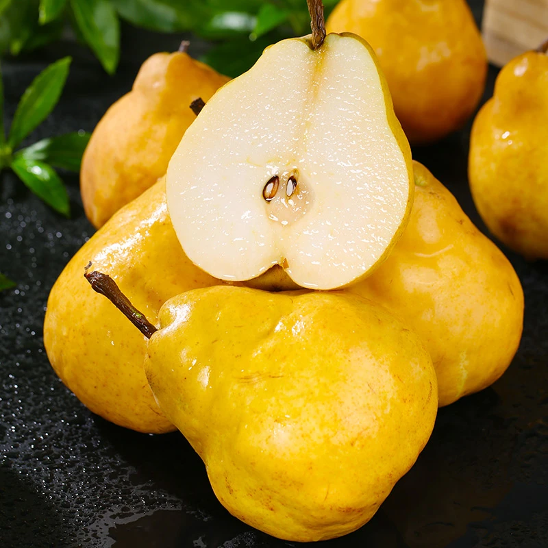 【中华丑梨】正宗山东烟台梨水果软糯多汁太婆梨啤梨4.5斤装GYC