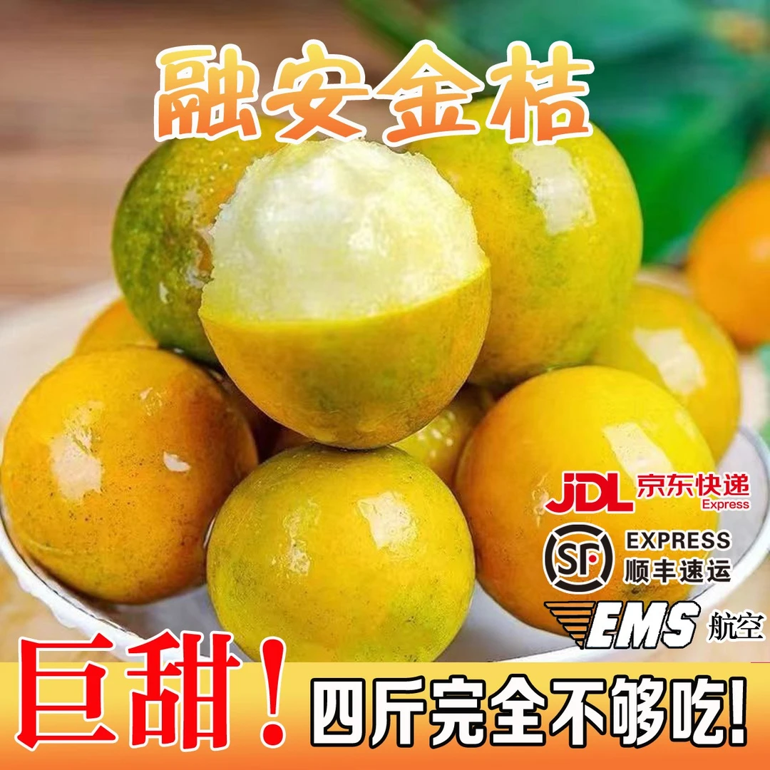 第二代融安滑皮金桔纯甜爆汁应季水果新鲜采摘顺丰/京东产地直发