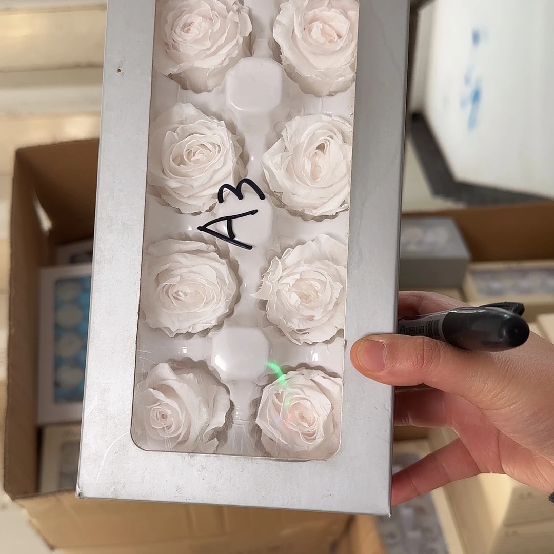 A3白玫瑰8朵，有油边