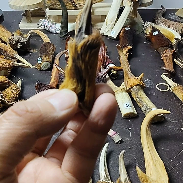 用****3鹿缘坊直播间选货