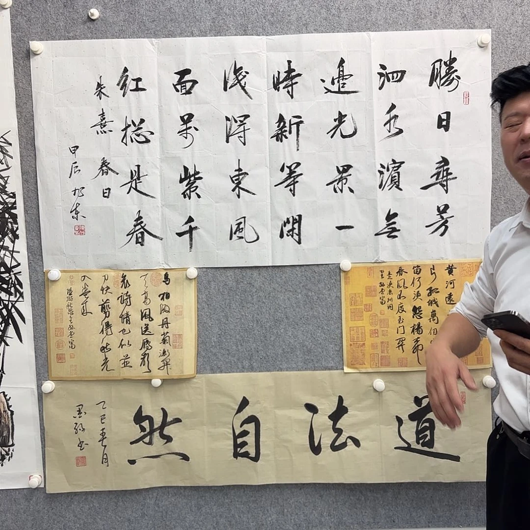 书法书法书法作品多次