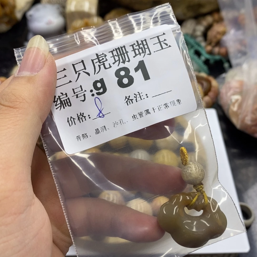 硅化珊瑚（珊瑚玉）未镶嵌1包**学