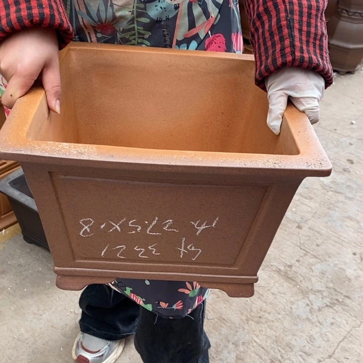 紫砂花盆只顾吃肉和