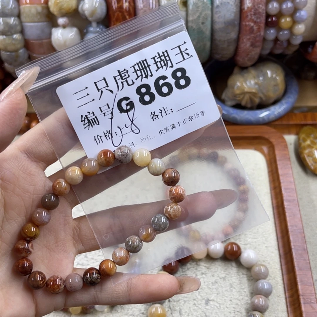 橘***～硅化珊瑚（珊瑚玉）未镶嵌h