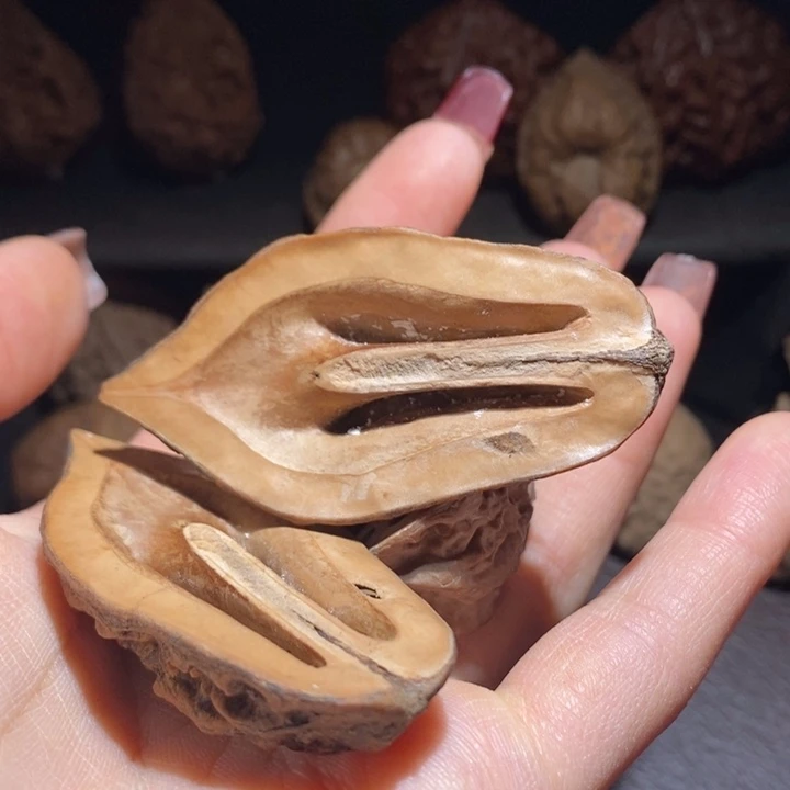 文玩核桃把件东北楸子16