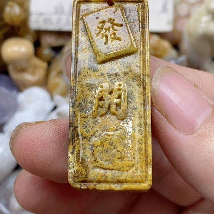 颈饰未镶嵌硅化珊瑚（珊瑚玉）有瑕
