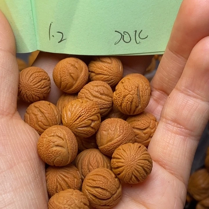 手串文玩核桃秦岭龙纹桃核12
