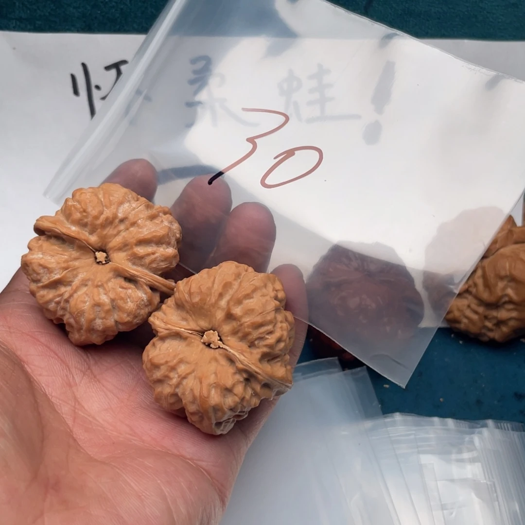 核桃3755737537573357