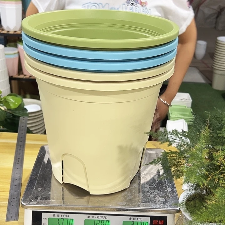 特价圆控300口29.5高27.5混色无托5只